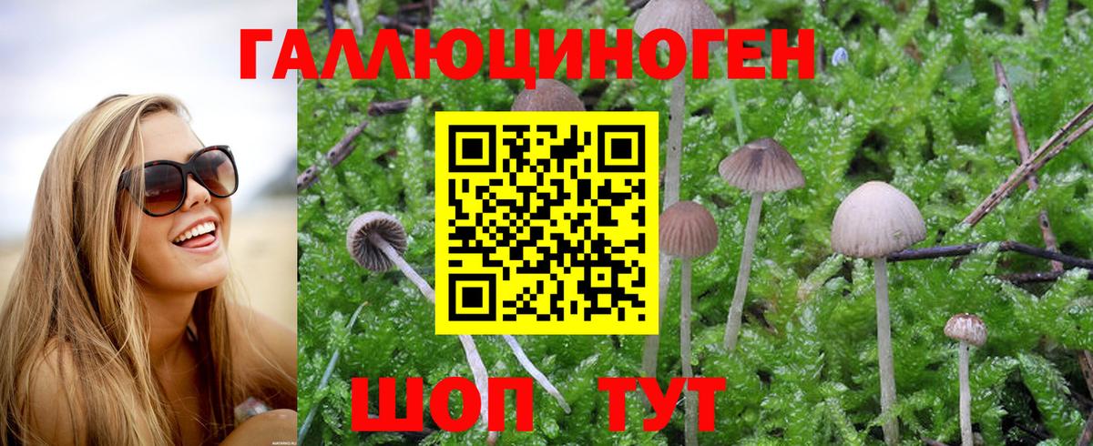 Псилоцибиновые грибы Psilocybe  Псилоцибиновые грибы мицелий  Вход с VPN  Котлас 