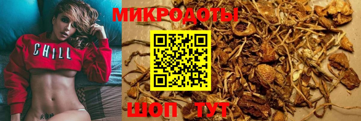 Галлюциногенные грибы Magic Shrooms Котлас